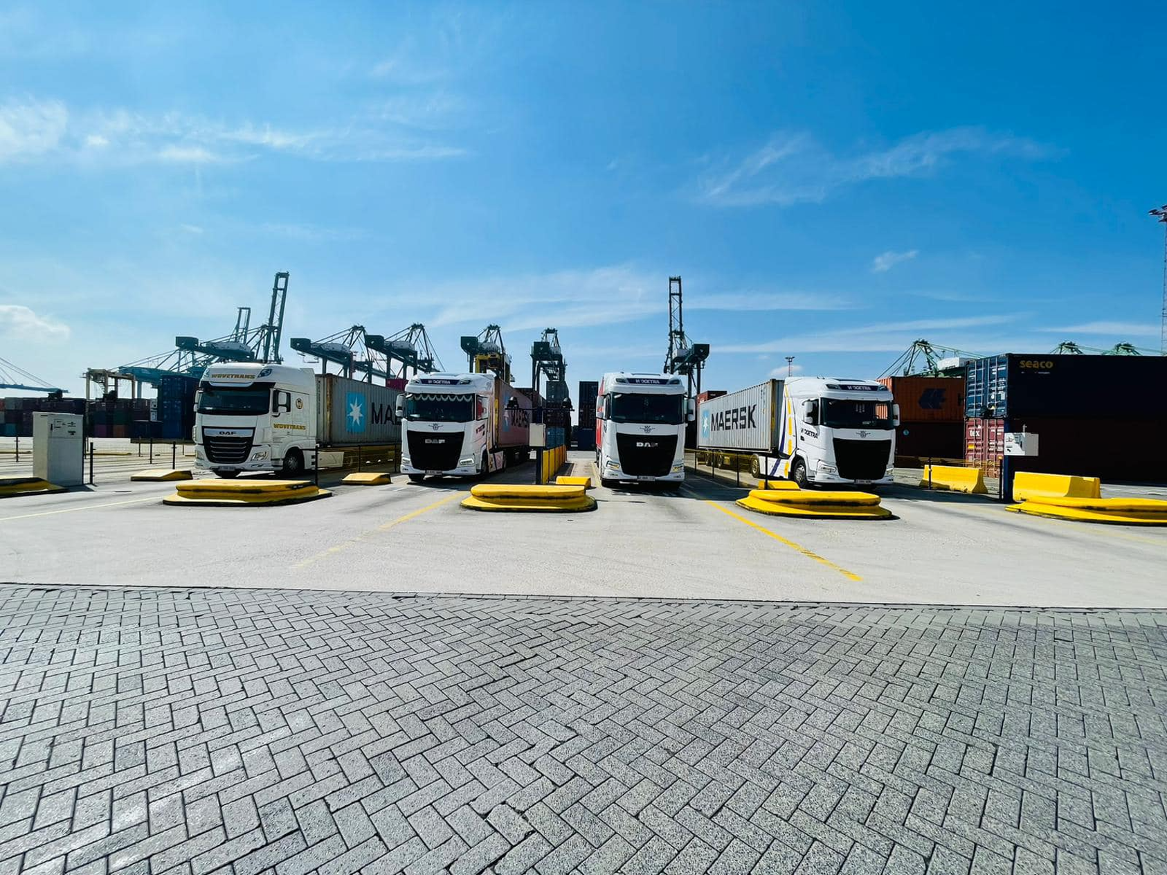 Wogetra trekkers aan de containerterminal